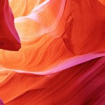 An Elegant Photoshoot